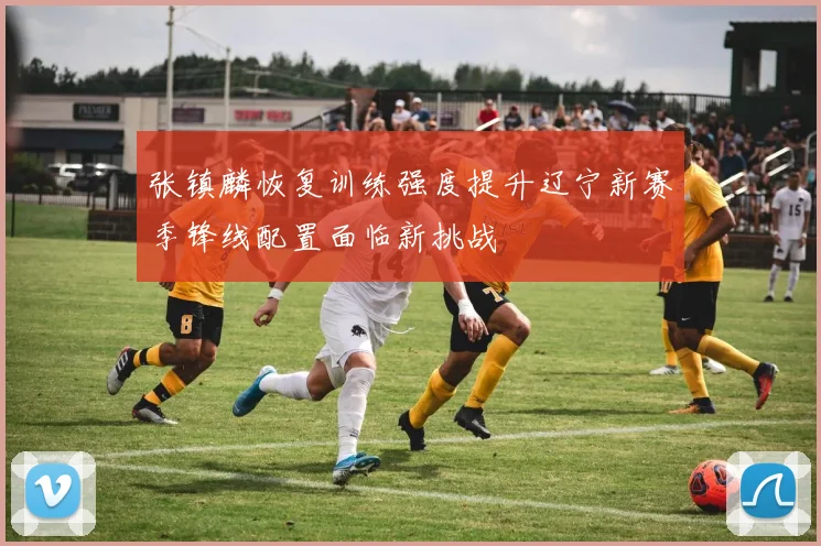 张镇麟恢复训练强度提升辽宁新赛季锋线配置面临新挑战